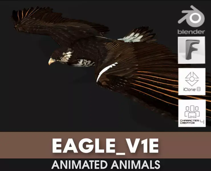 Eagle V1E 3D model