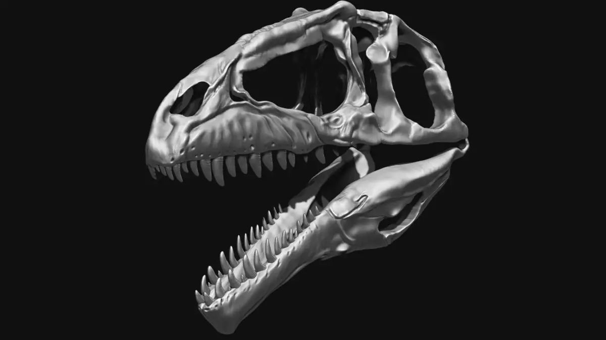 Giganotosaurus Skull Set Skeletons 3D model