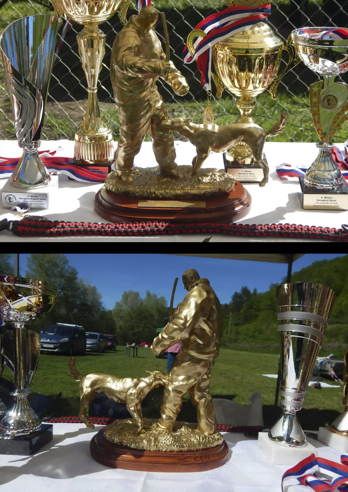 Dog trophy 3D print model