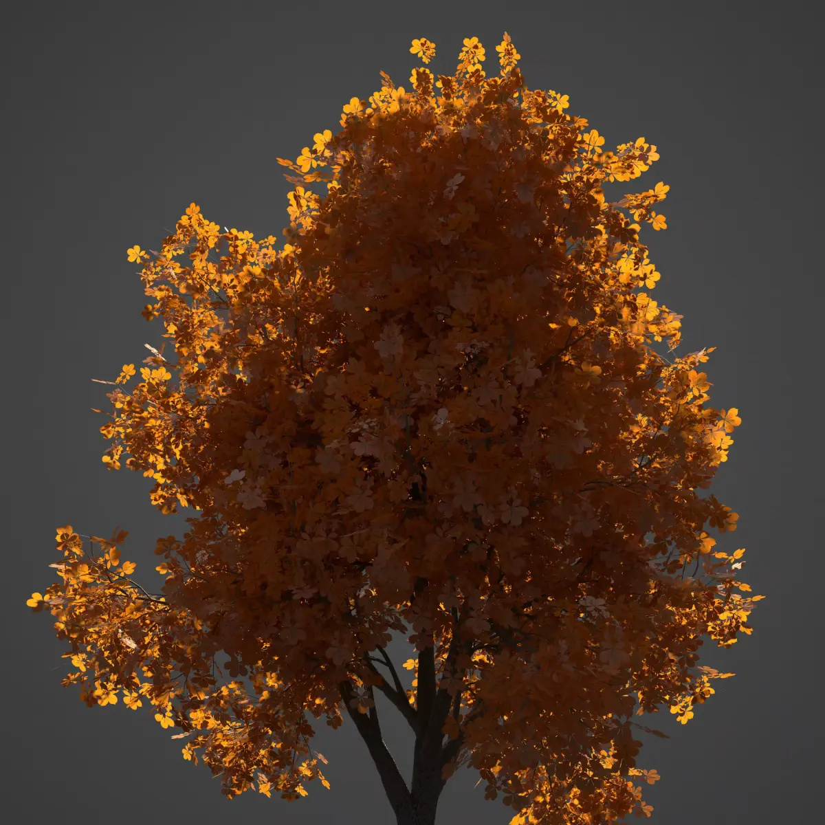 2021 PBR Ohio Buckeye Collection - Aesculus Glabra  3D model
