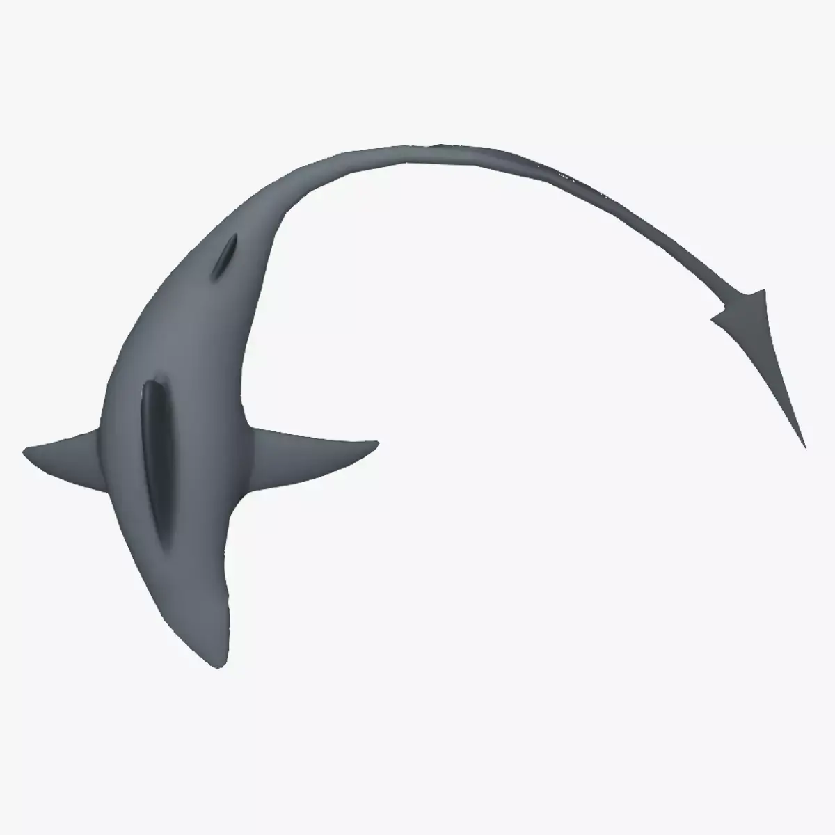 SHARK WITH LONG TAIL Low-poly 3D model