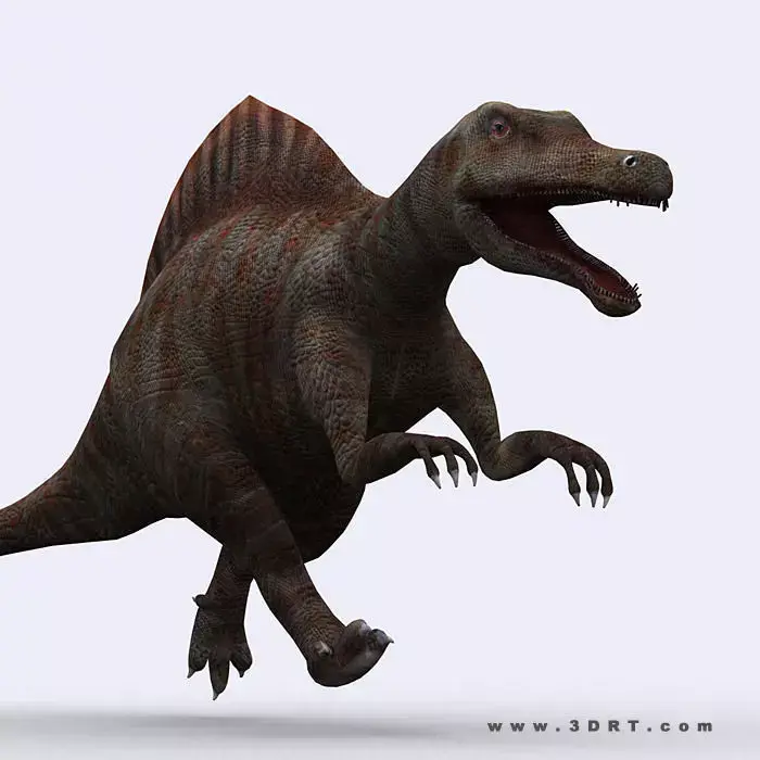 3DRT - Dinosaurs - Spinosaurus Low-poly 3D model