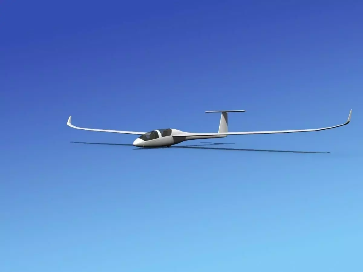 DG-1000 Glider Bare Metal 3D model