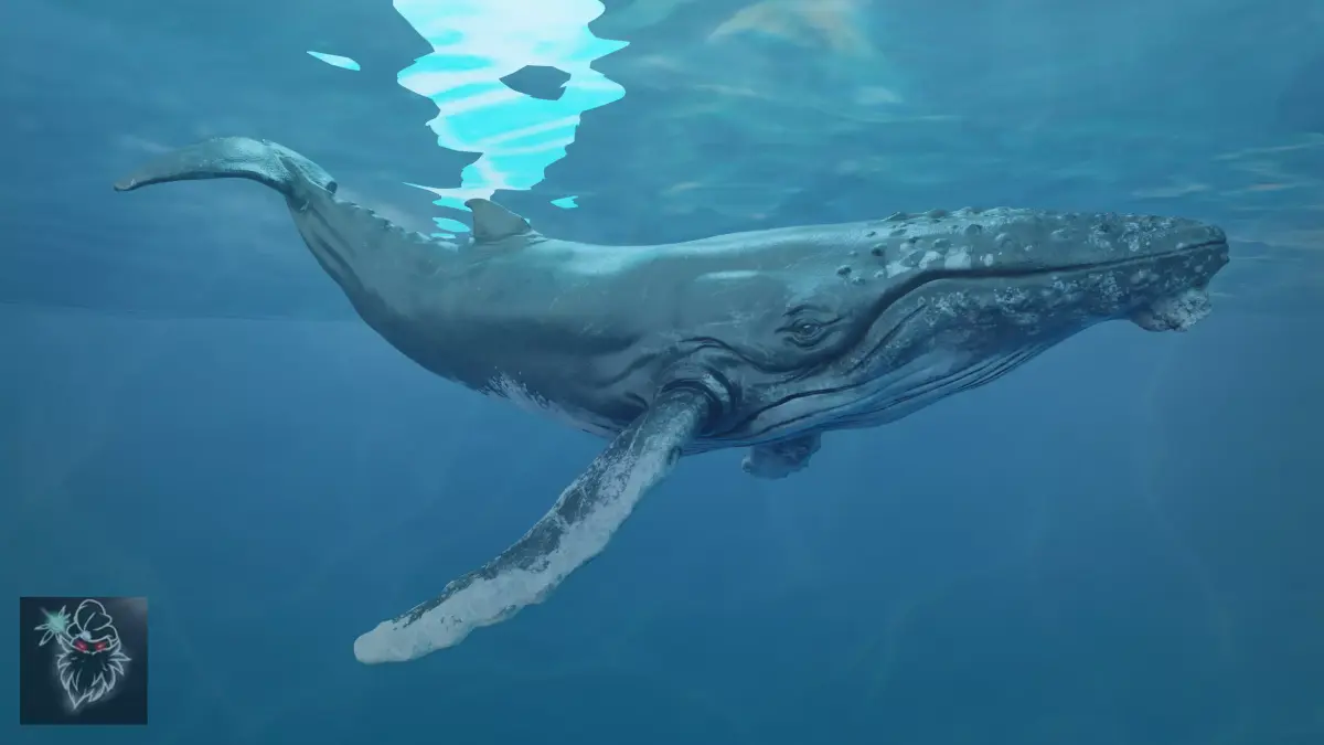 Humbpack Whale Animated Low-poly 3D model