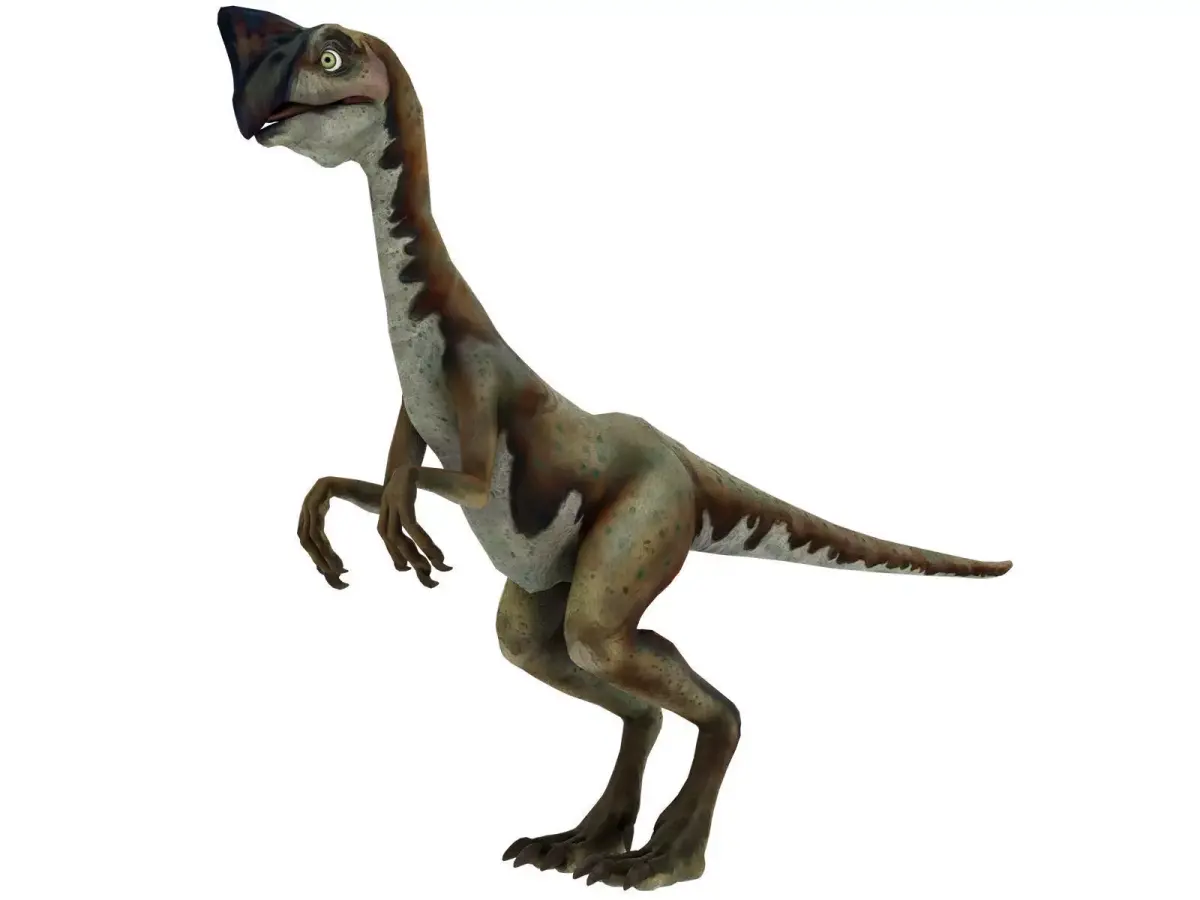 Oviraptor dinosaur Low-poly 3D model purchase