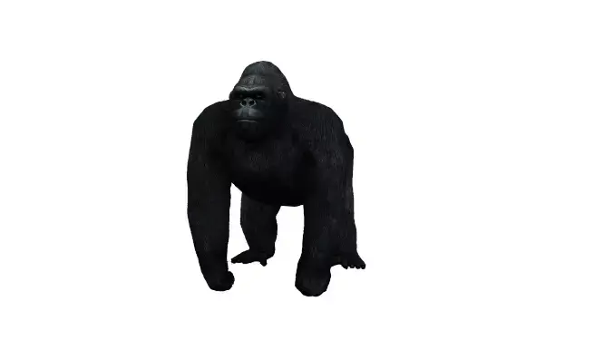 Gorilla Low-poly 3D model