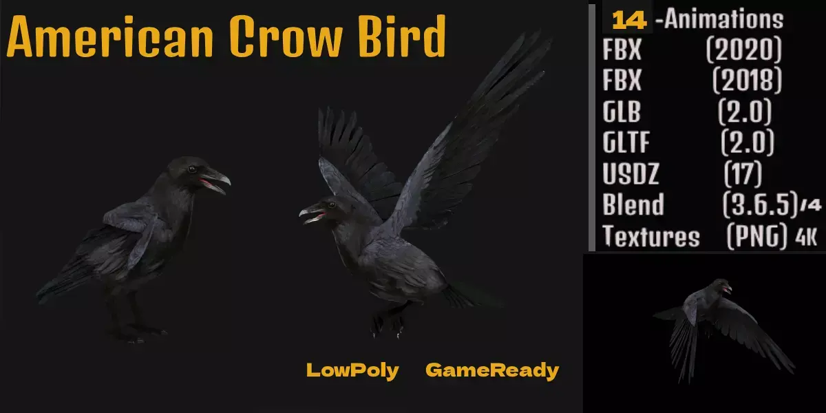 American Crow Bird Low-poly 3D model