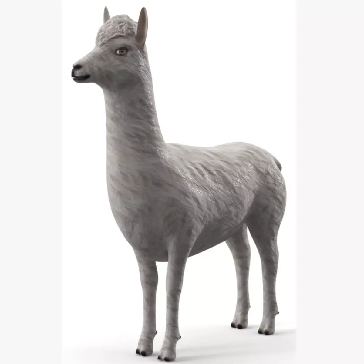 Low Poly Animal Cartoon Lama - Alpaca -  llama - Unwapped 4K Low-poly 3D model
