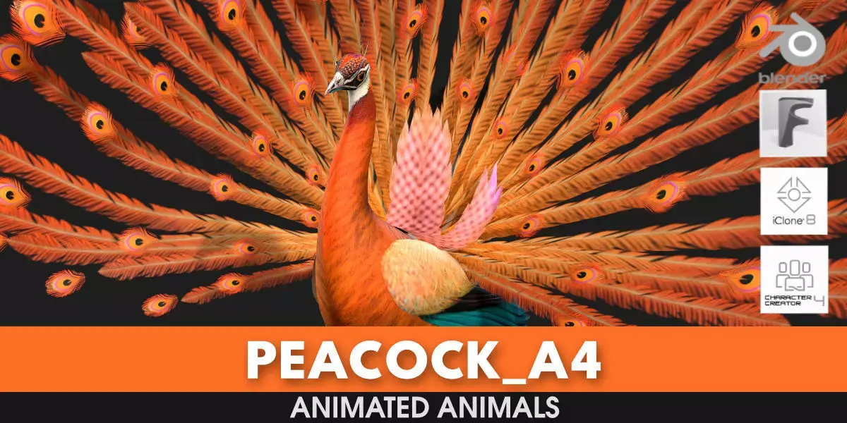 Peacock A4 3D model