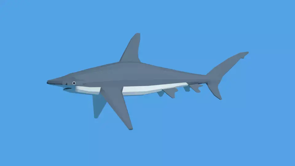 Low Poly Cartoon Hammerhead Shark Low-poly 3D model