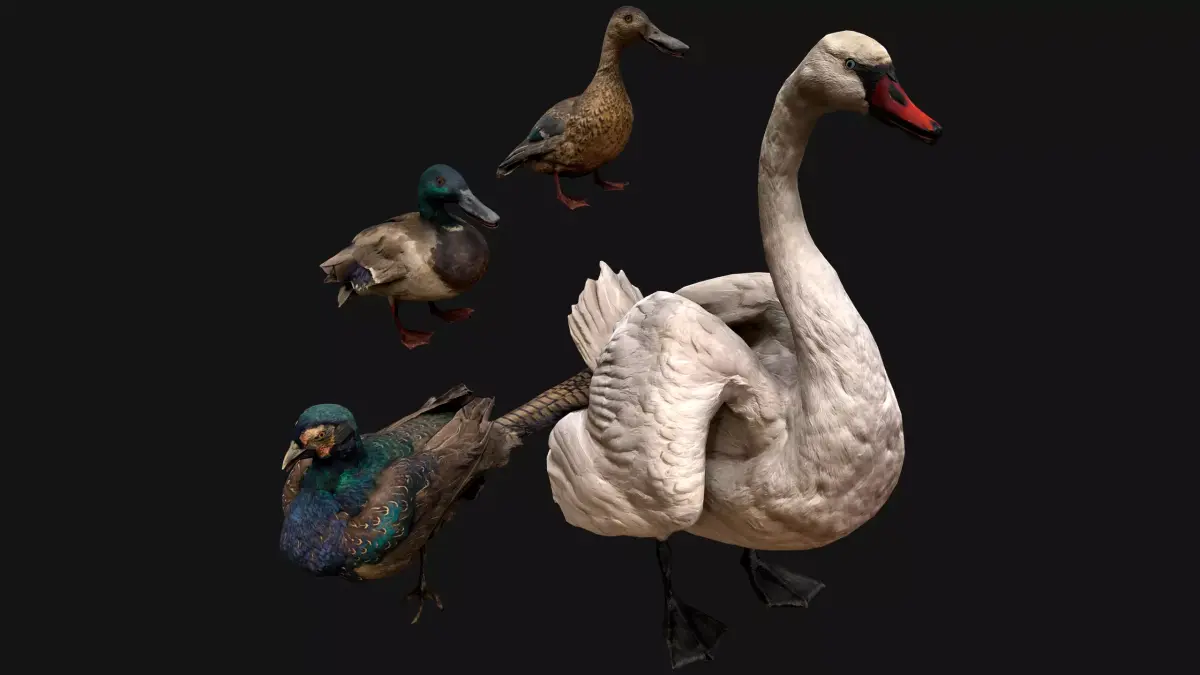 Birds set  Swan Ducks Pheasant Low-poly 3D model