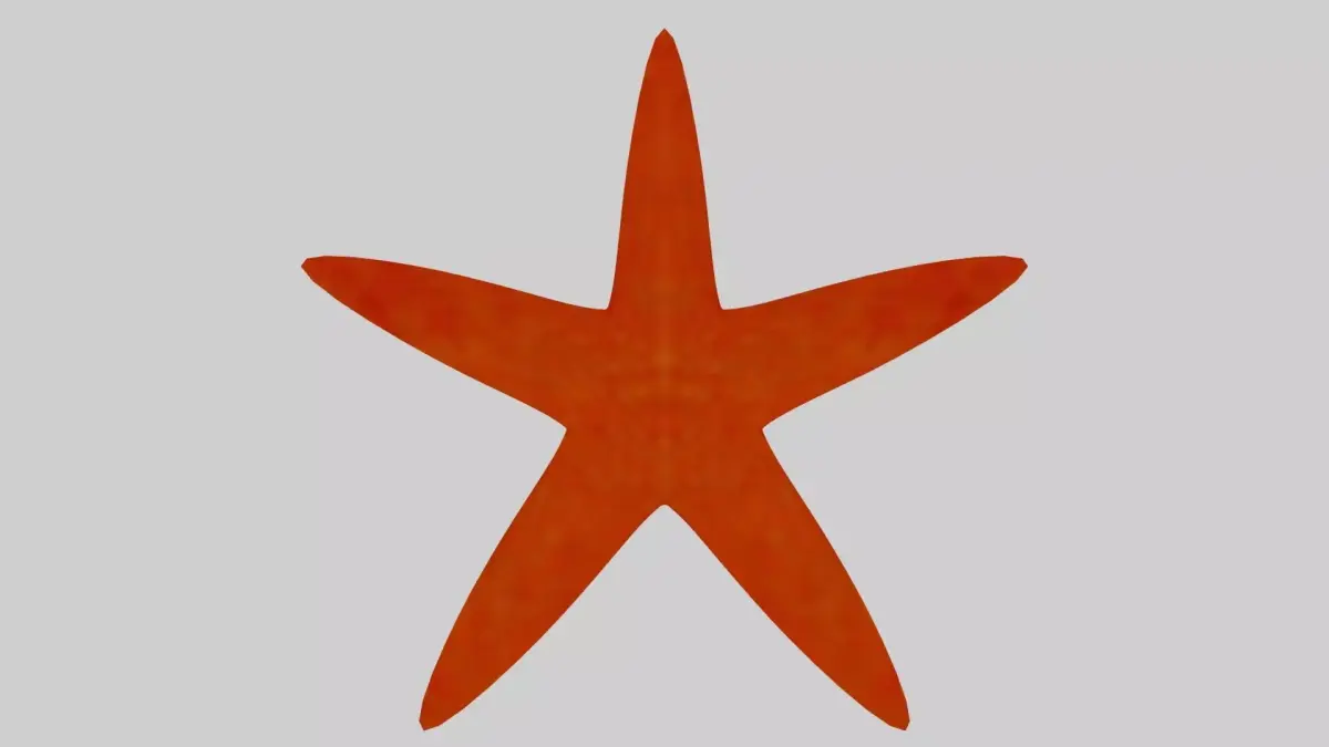 Starfish 3D Model Low-poly 3D model