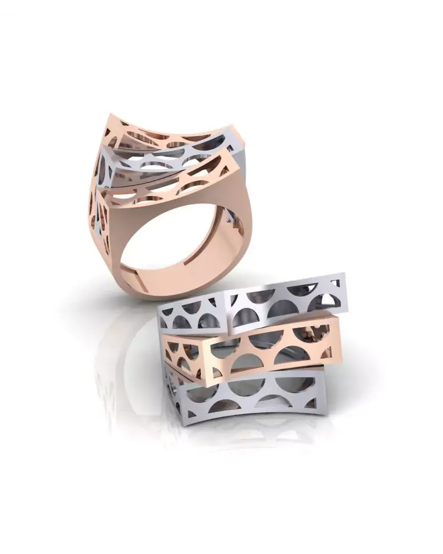 bypass gold ring 2 part 3D print model