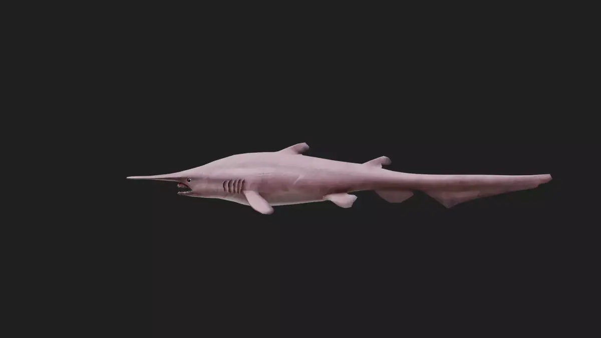 Goblinshark Low-poly 3D model