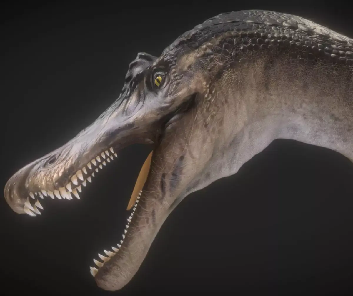 Baryonyx  Low-poly 3D model