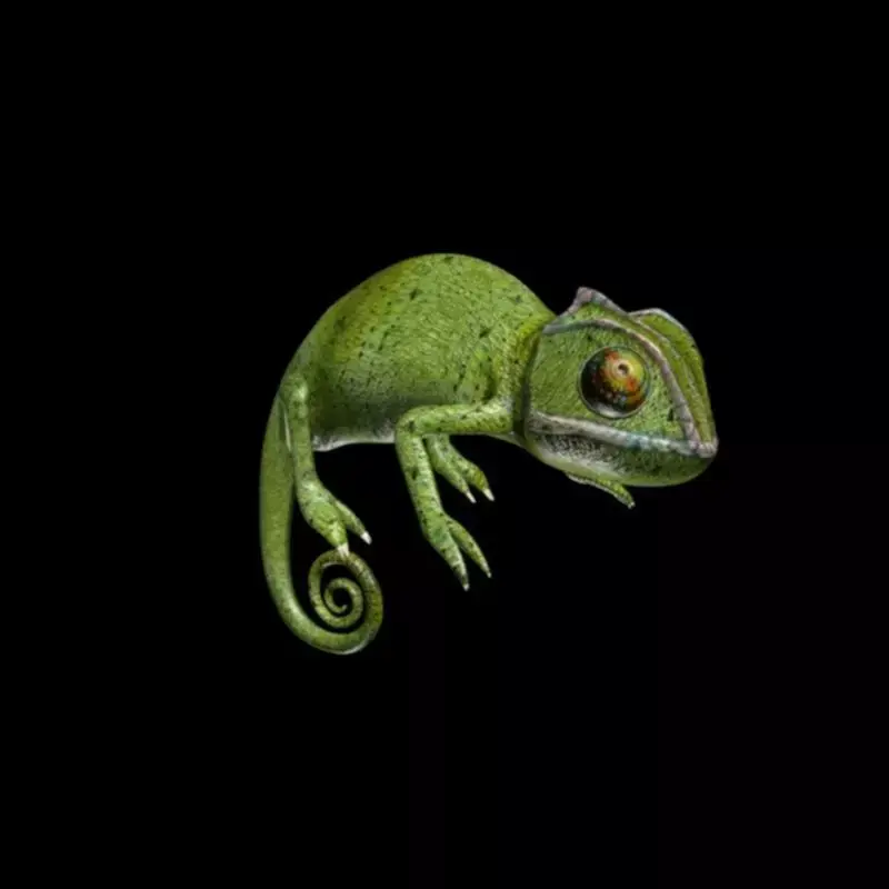 Chameleon Low-poly 3D model