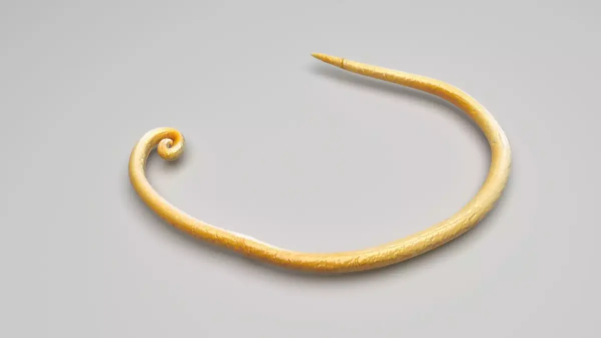 Whipworm 3D model