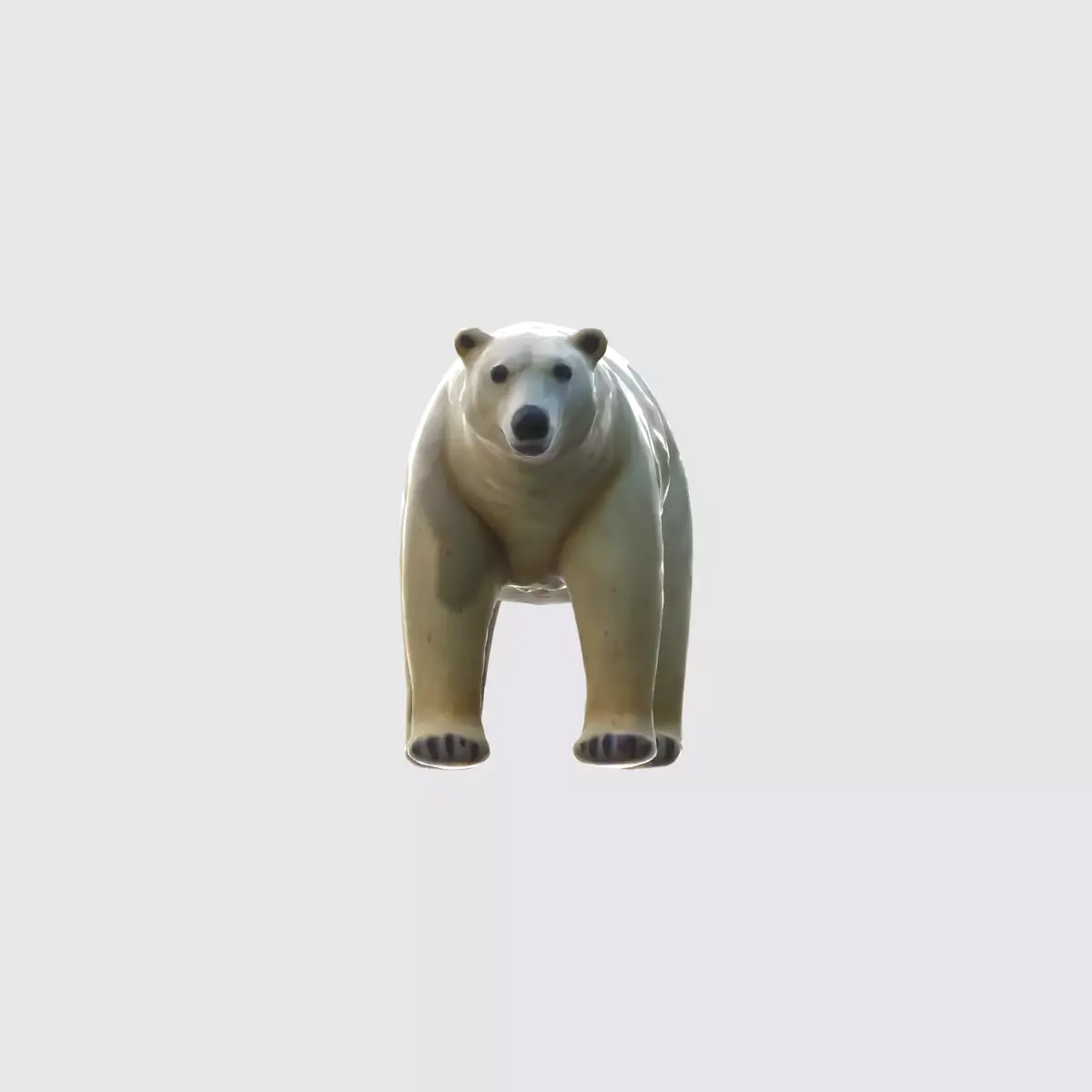 A large white polar bear standing  3D model