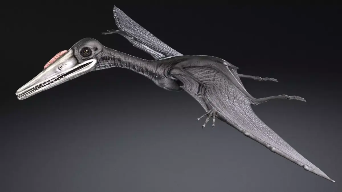 Pterodactylus dinosaur flying in air 3D model purchase
