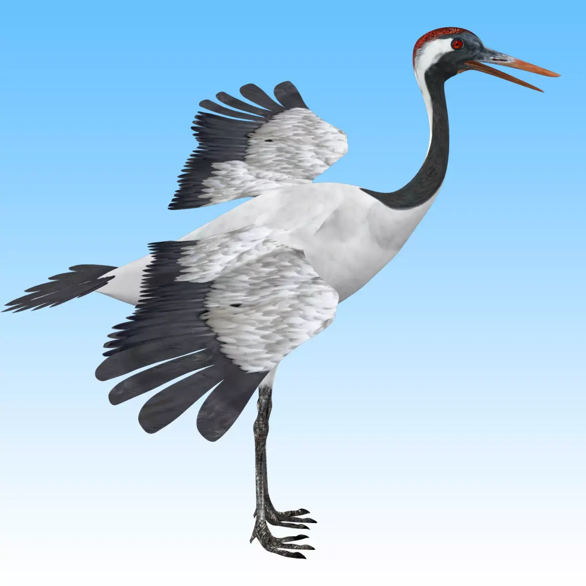 Red crowned Crane Bird Low-poly 3D model
