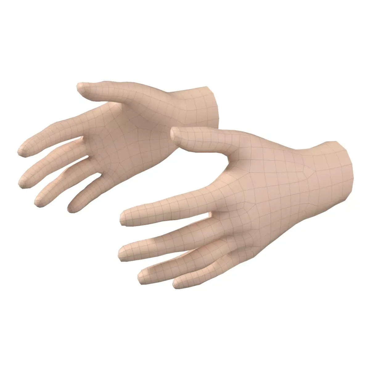 Female Hand Base Mesh 06 3D model