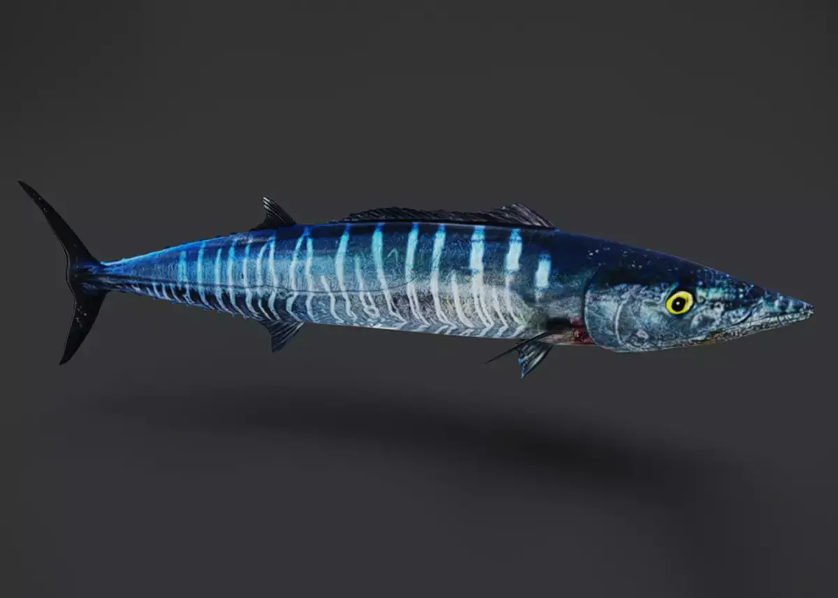 Wahoo Animated 3D model