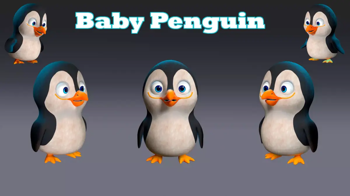 Baby Penguin Character Low-poly 3D model