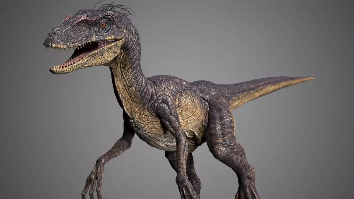 Raptor dinosaur 3D model buy