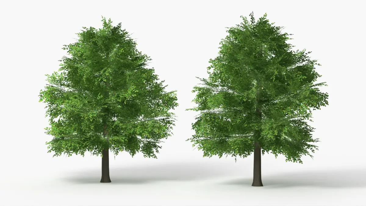 Realistic Lowpoly Beech Woodland Tree Green 3D model
