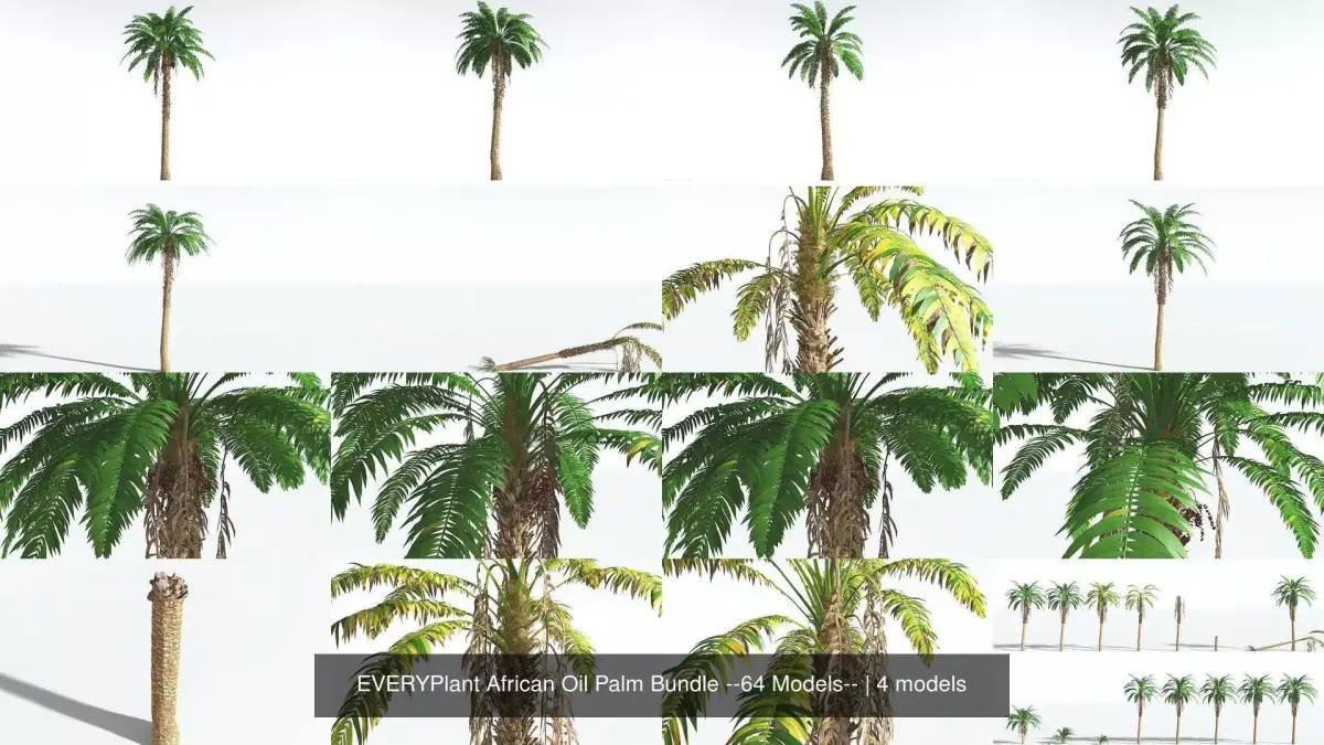EVERYPlant African Oil Palm Bundle --64 Models-- 3D Model Collection