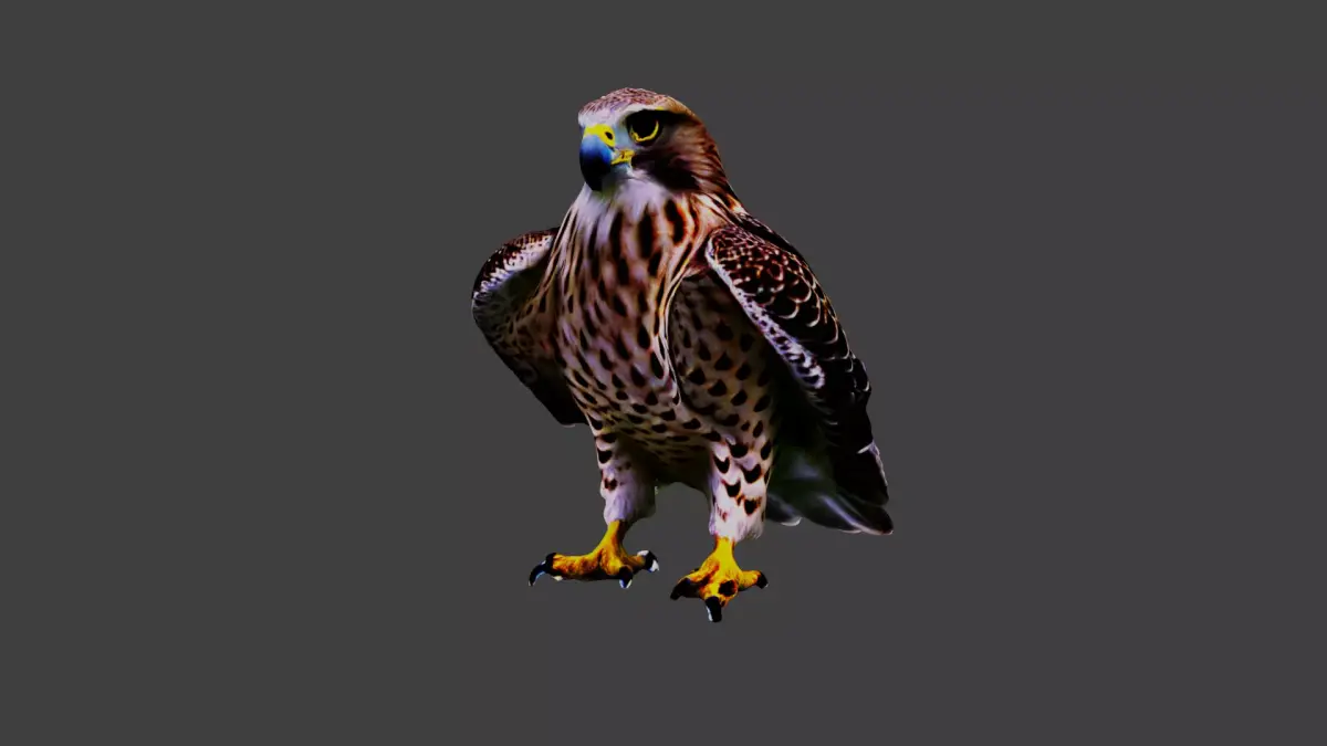 Hawk Animal Low-poly 3D model