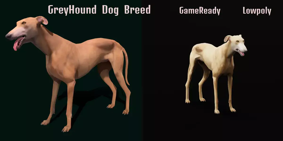 Greyhound Dog Breed Free low-poly 3D model