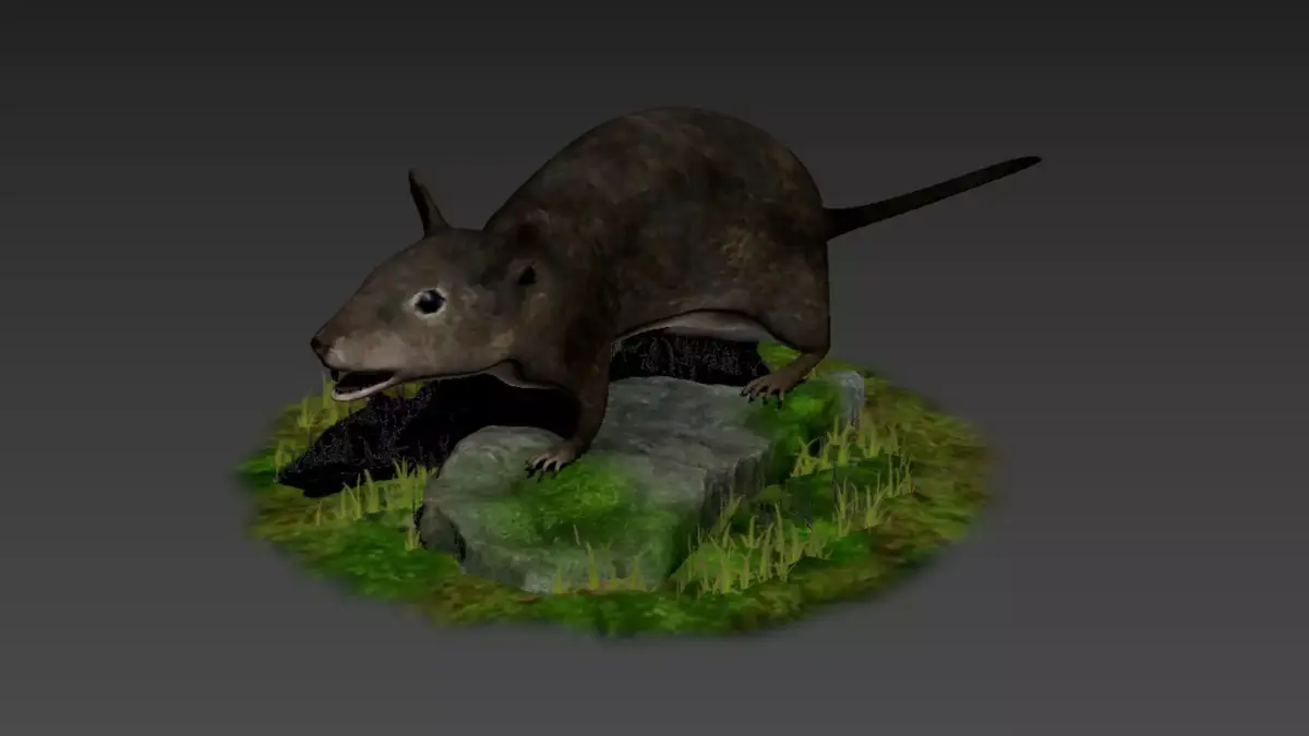rats rat roddents mammals animal mouse cute pet fur lab 3D model