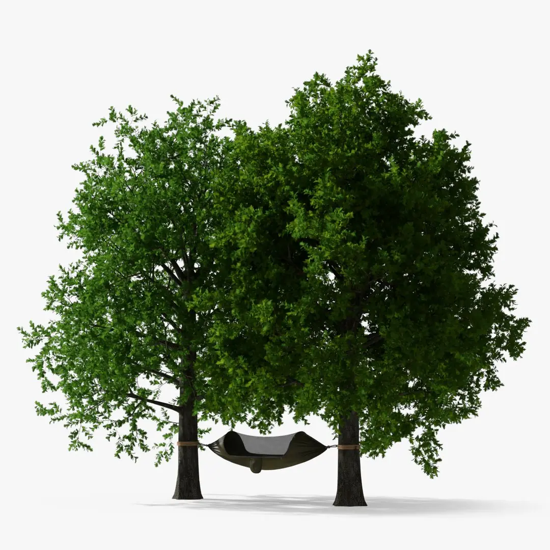 Camping Hammock with Mosquito Net Between Trees 3D model