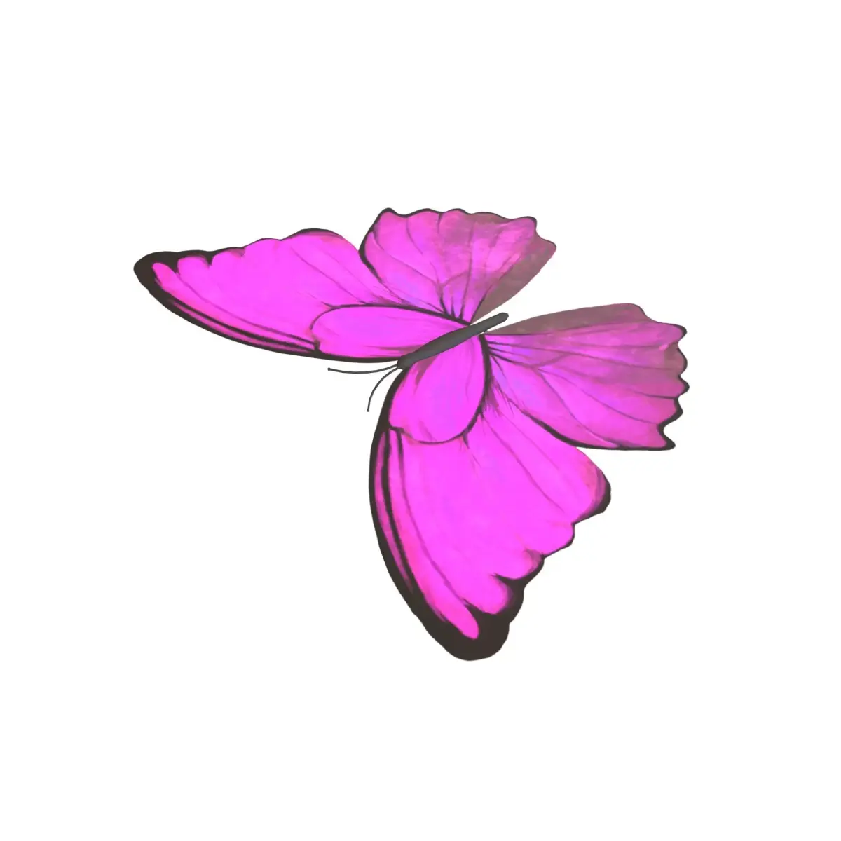 Butterfly v1 003 Low-poly 3D model