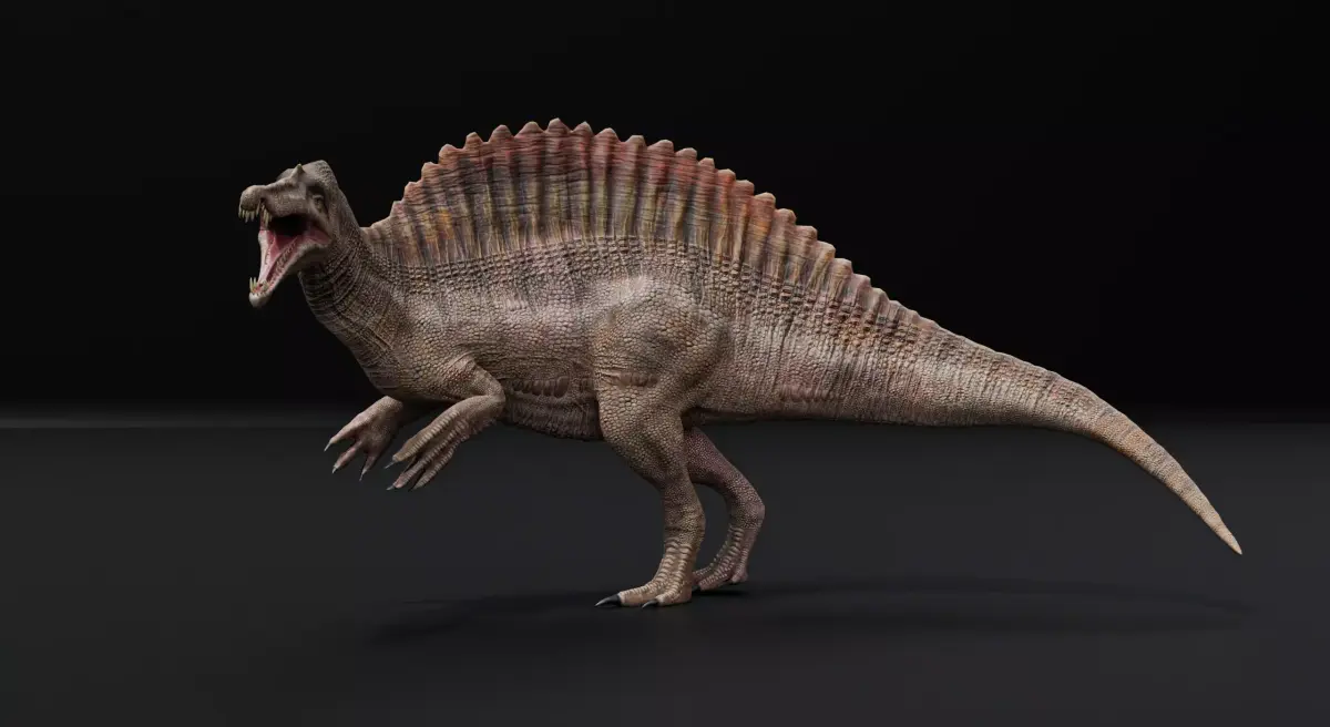 Monster Spinosaurus Dinosaur Low-poly 3D model