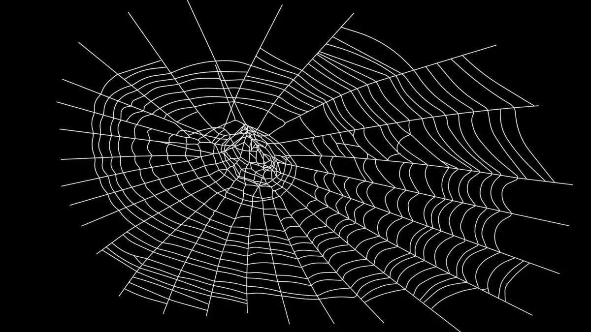 Spider Web 3D model