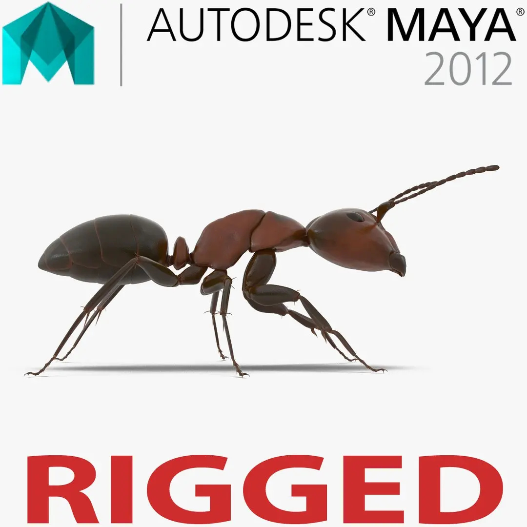 Red Ant Rigged for Maya 3D model