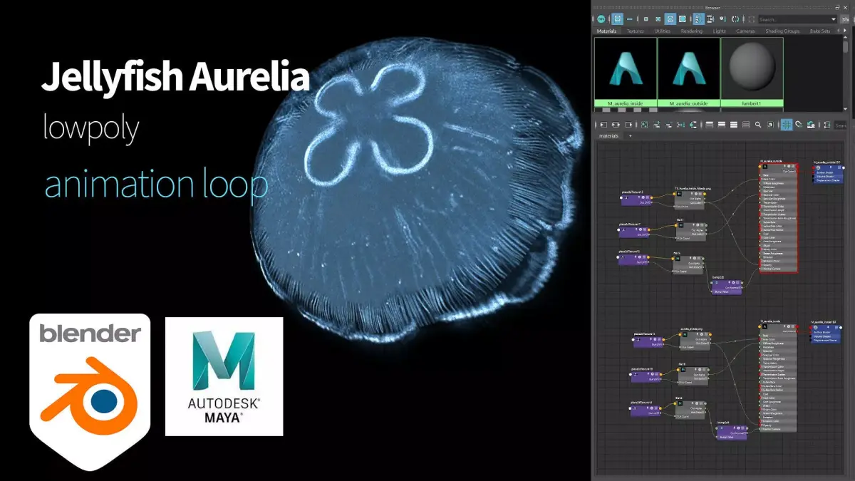 Jellyfish Aurelia Low-poly 3D model
