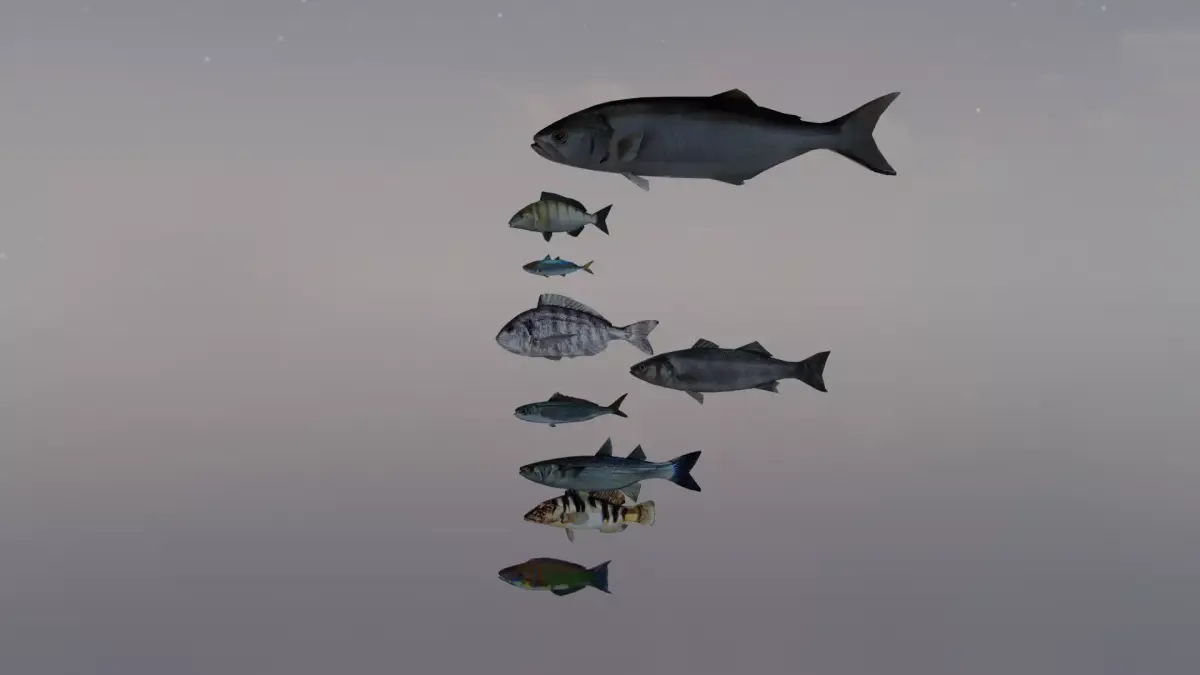 Mediterranean Fishes Set Nine piece low-poly 3D model FREE Free low-poly 3D model
