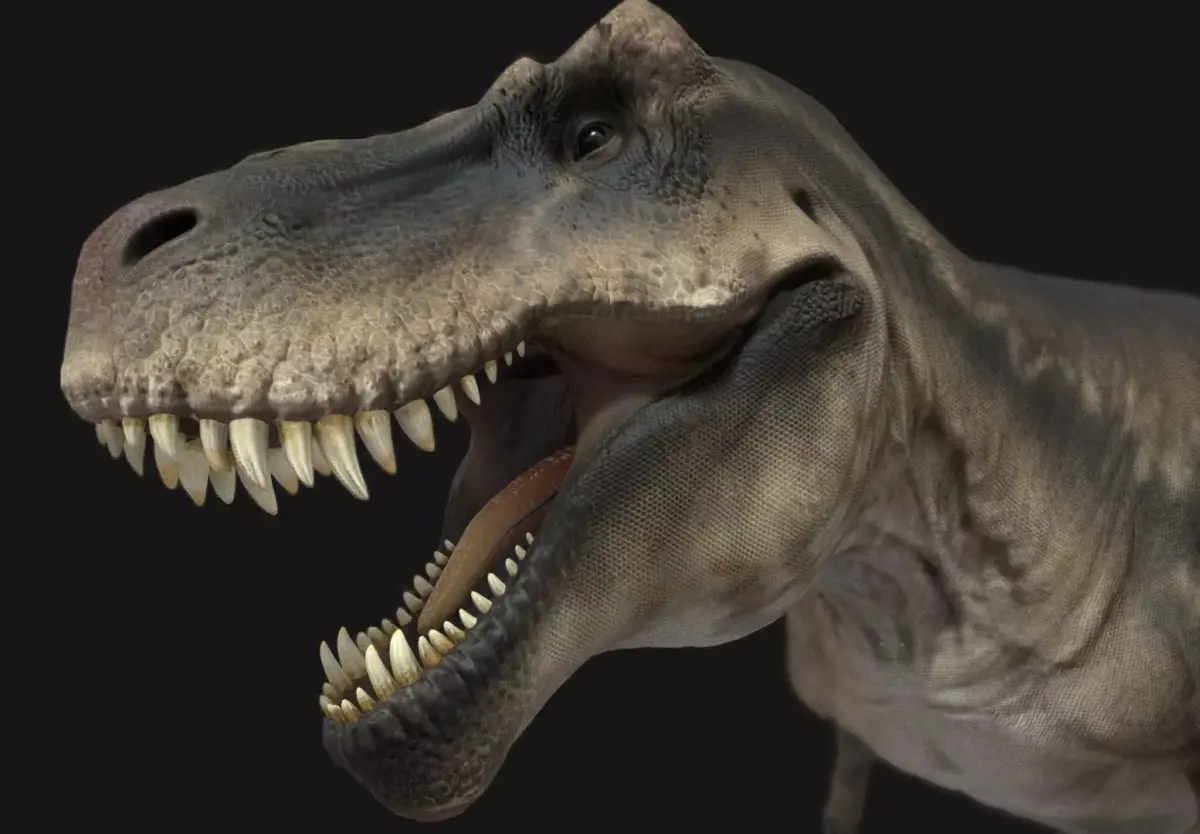 Tyrannosauru rex Low-poly 3D model