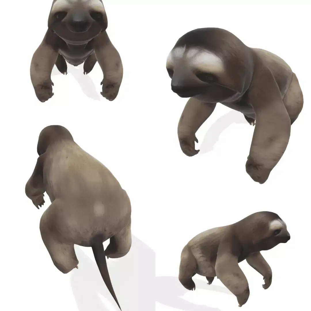 Chill the Stylized Sloth 3D model