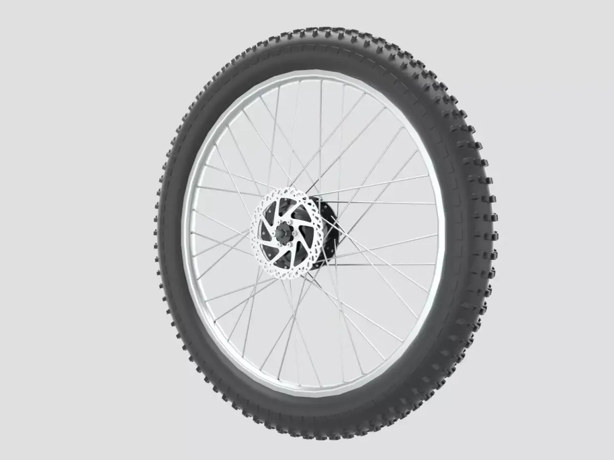Bicycle Rear Wheel 3D model