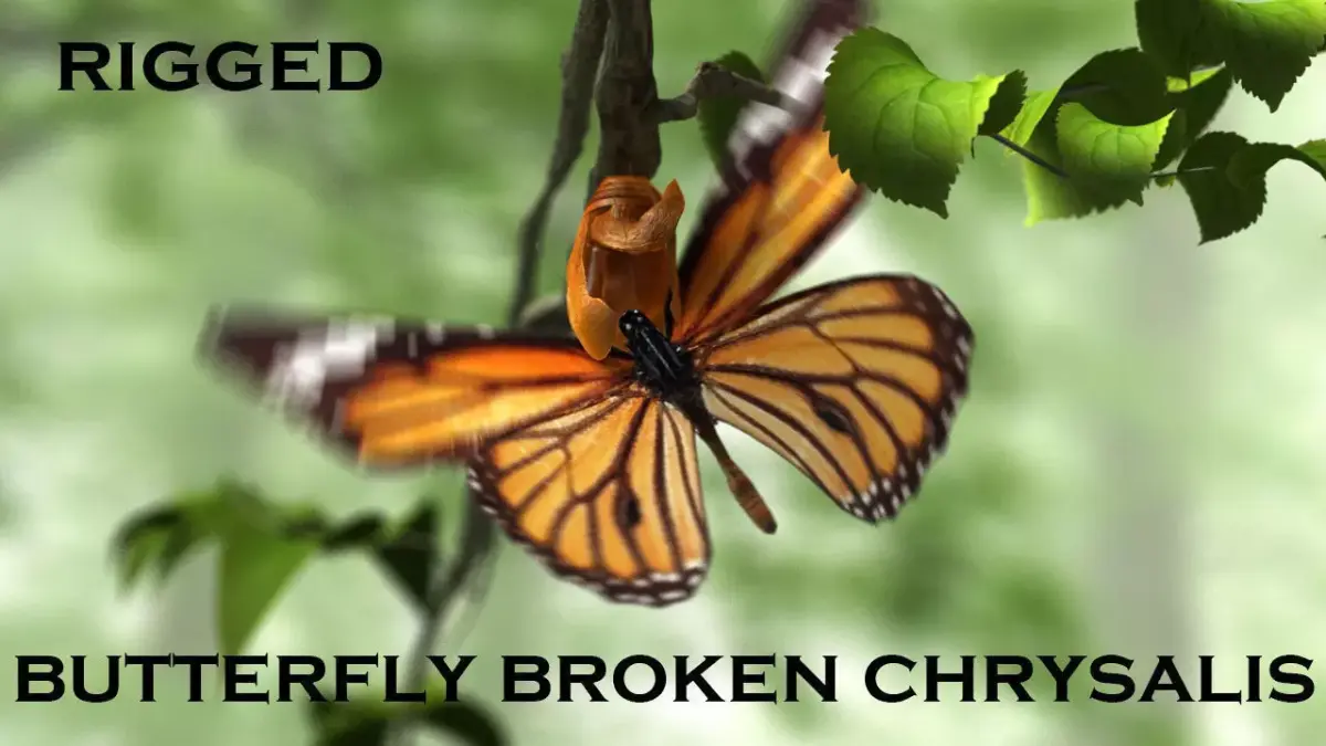 butterfly broken chrysalis 3D model