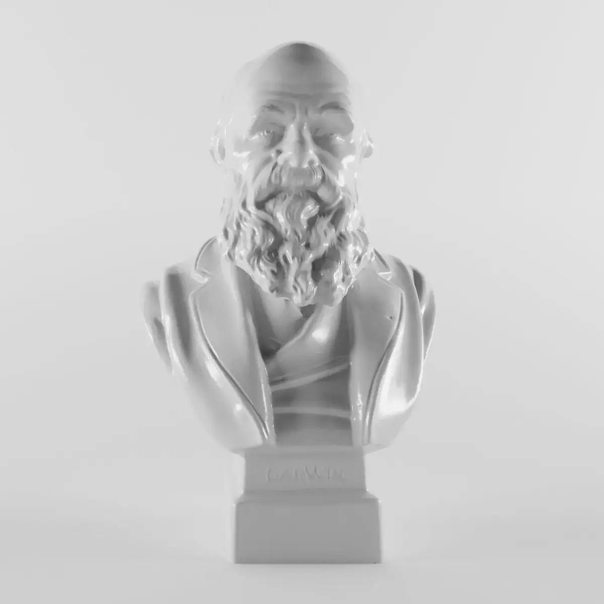 Charles Robert Darwin 3D print model