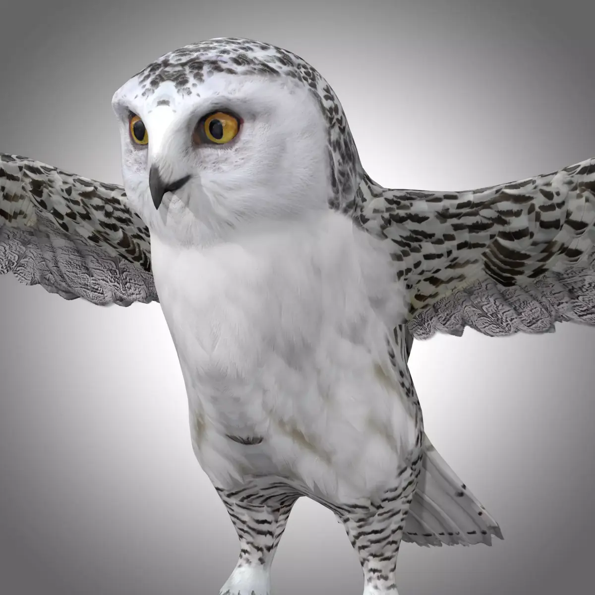  Snowy White Owl Low-poly 3D model