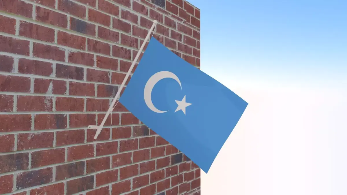Kokbayraq flag 3D model