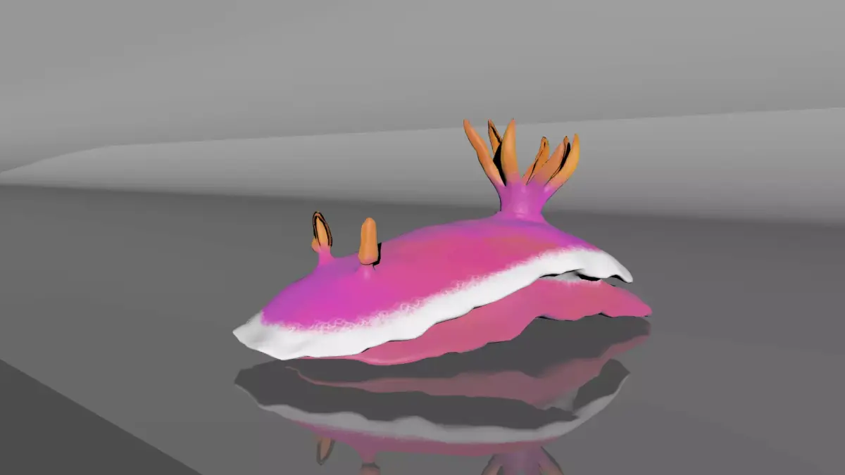 Sea Slug - Nudibranch 3D model