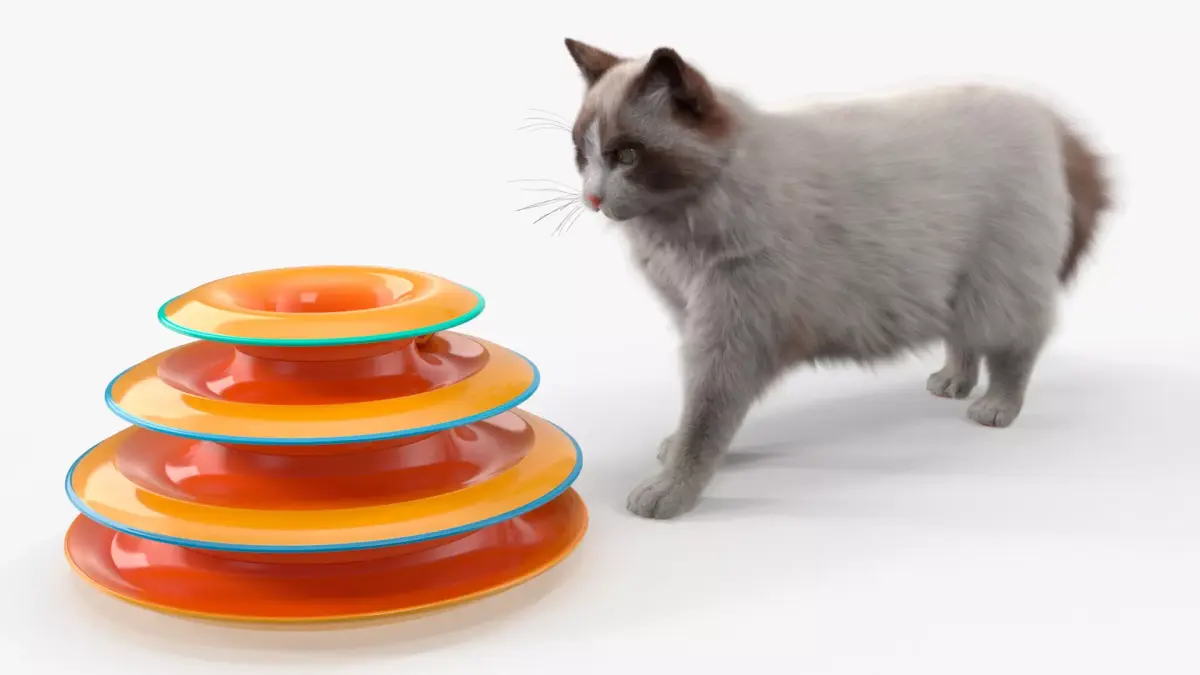 Circular Cat Toy Tower with Moving Balls Fur Animated Rigged 3D model purchase