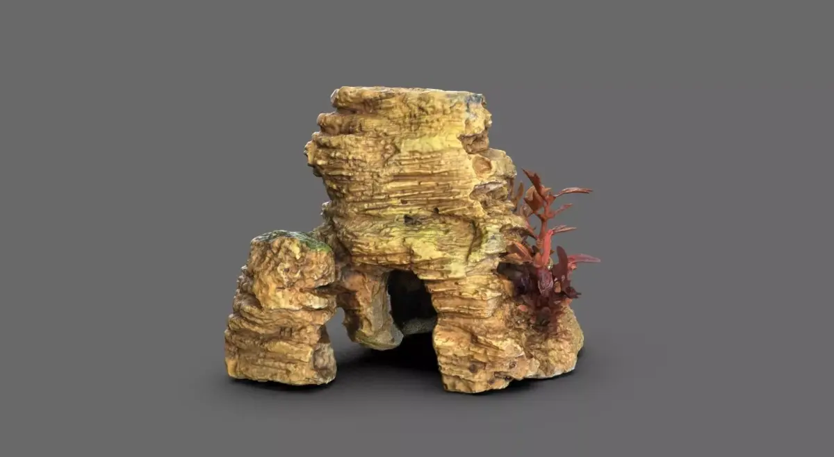 Aquarium Rock Fish House 3D model